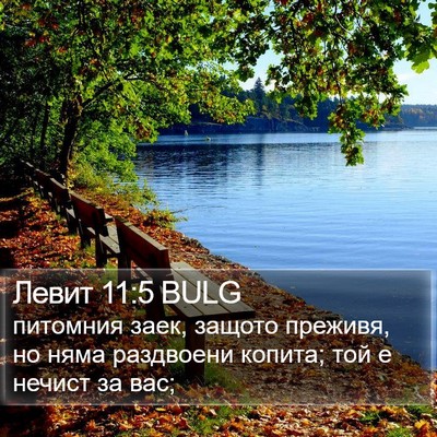 Левит 11:5 BULG Bible Verse Image