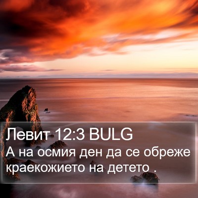 Левит 12:3 BULG Bible Verse Image