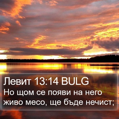 Левит 13:14 BULG Bible Verse Image