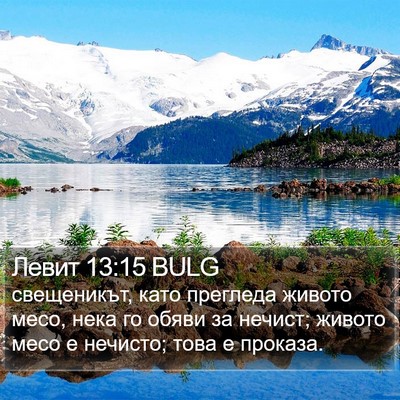 Левит 13:15 BULG Bible Verse Image