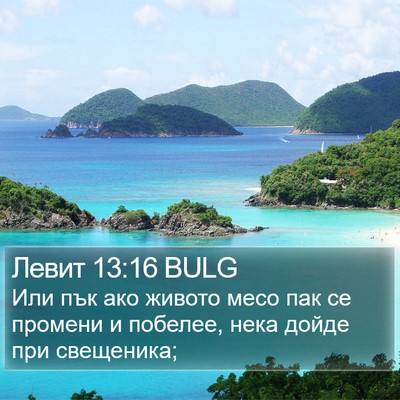 Левит 13:16 BULG Bible Verse Image