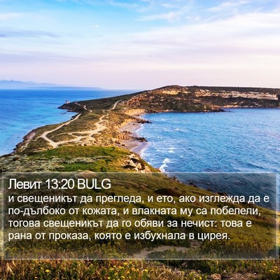 Левит 13:20 BULG Bible Verse Image