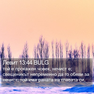 Левит 13:44 BULG Bible Verse Image