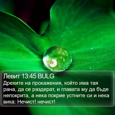 Левит 13:45 BULG Bible Verse Image