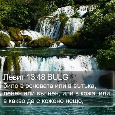 Левит 13:48 BULG Bible Verse Image