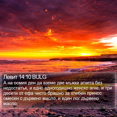 Левит 14:10 BULG Bible Verse Image