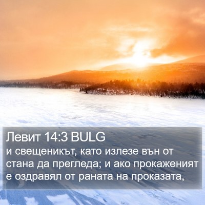 Левит 14:3 BULG Bible Verse Image