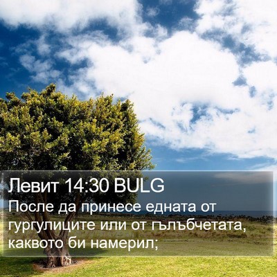 Левит 14:30 BULG Bible Verse Image