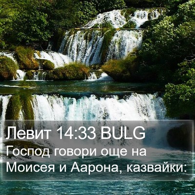 Левит 14:33 BULG Bible Verse Image