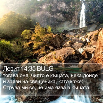 Левит 14:35 BULG Bible Verse Image