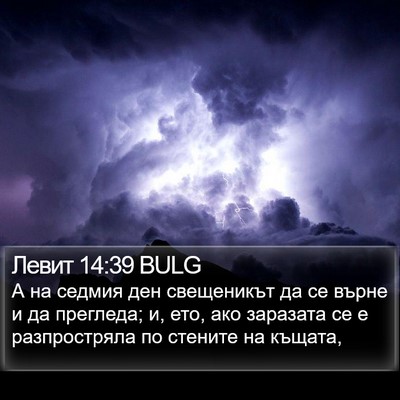 Левит 14:39 BULG Bible Verse Image
