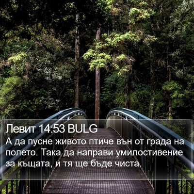 Левит 14:53 BULG Bible Verse Image