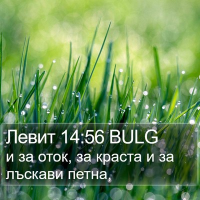 Левит 14:56 BULG Bible Verse Image