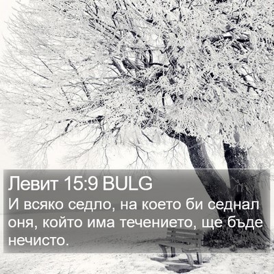 Левит 15:9 BULG Bible Verse Image