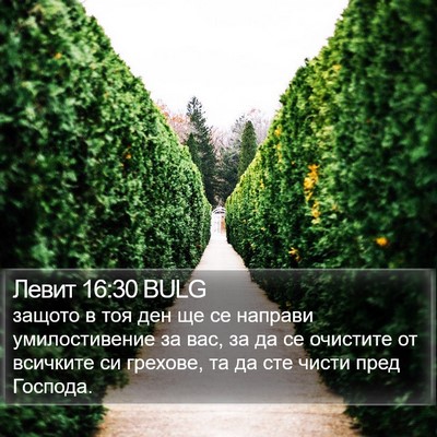 Левит 16:30 BULG Bible Verse Image
