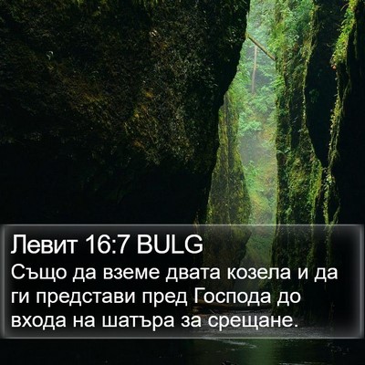 Левит 16:7 BULG Bible Verse Image