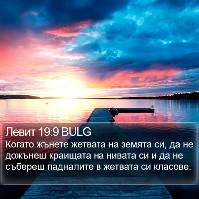 Левит 19:9 BULG Bible Verse Image