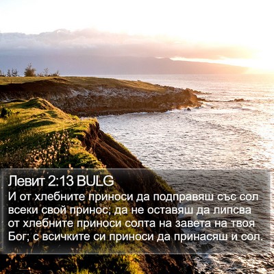 Левит 2:13 BULG Bible Verse Image