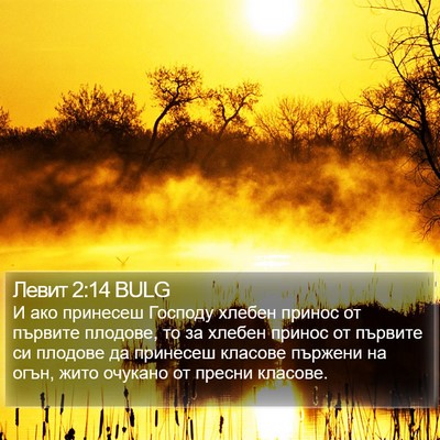 Левит 2:14 BULG Bible Verse Image
