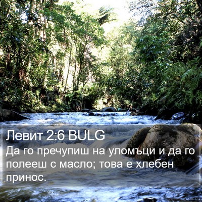 Левит 2:6 BULG Bible Verse Image