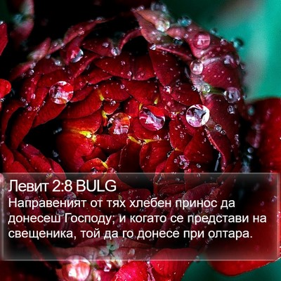 Левит 2:8 BULG Bible Verse Image