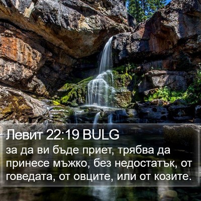 Левит 22:19 BULG Bible Verse Image