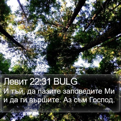 Левит 22:31 BULG Bible Verse Image