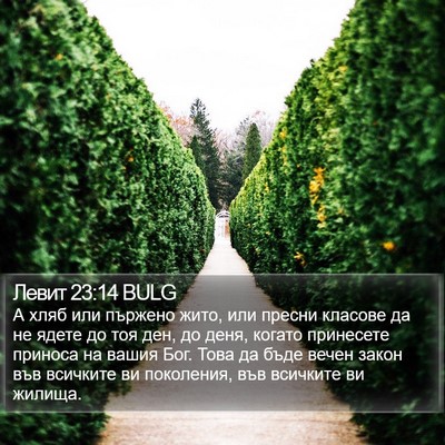 Левит 23:14 BULG Bible Verse Image