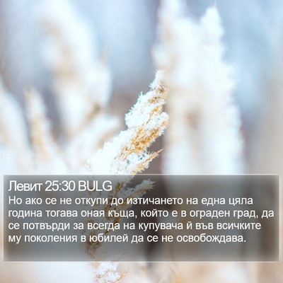 Левит 25:30 BULG Bible Verse Image