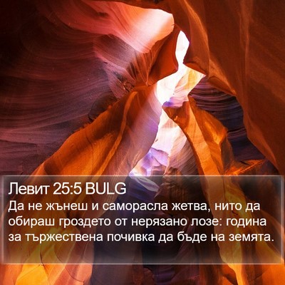 Левит 25:5 BULG Bible Verse Image