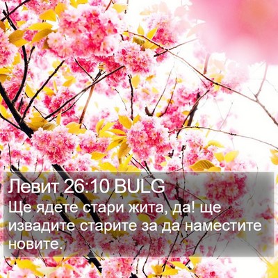 Левит 26:10 BULG Bible Verse Image