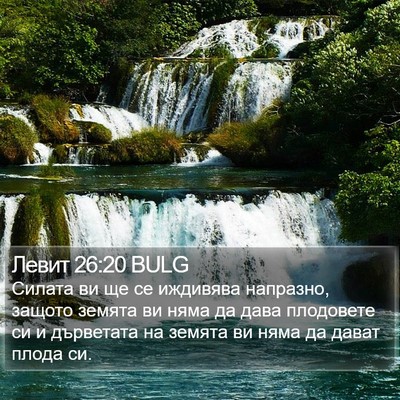 Левит 26:20 BULG Bible Verse Image