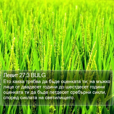 Левит 27:3 BULG Bible Verse Image