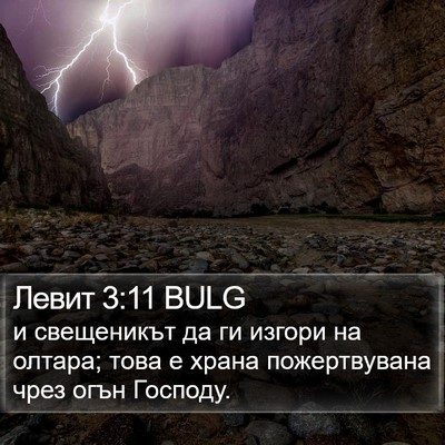 Левит 3:11 BULG Bible Verse Image