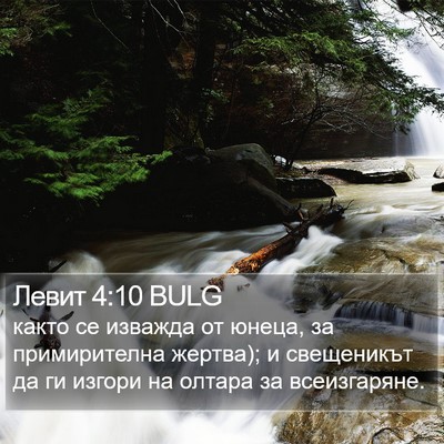 Левит 4:10 BULG Bible Verse Image