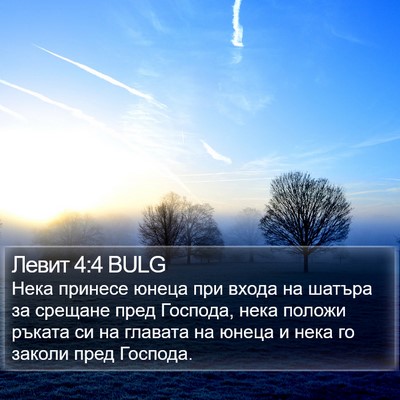Левит 4:4 BULG Bible Verse Image