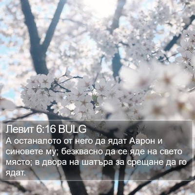 Левит 6:16 BULG Bible Verse Image