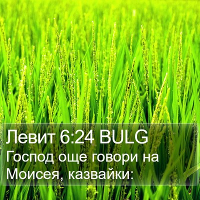 Левит 6:24 BULG Bible Verse Image