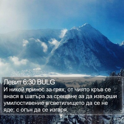 Левит 6:30 BULG Bible Verse Image
