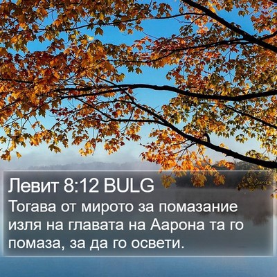 Левит 8:12 BULG Bible Verse Image