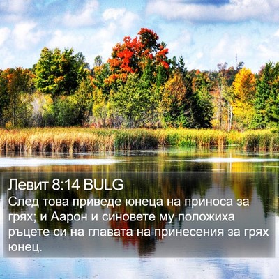 Левит 8:14 BULG Bible Verse Image