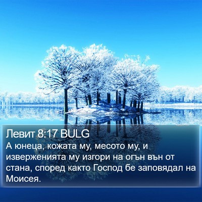 Левит 8:17 BULG Bible Verse Image