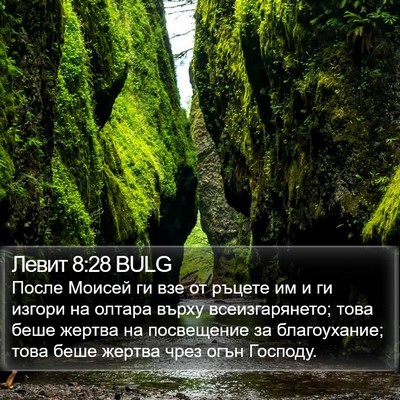 Левит 8:28 BULG Bible Verse Image