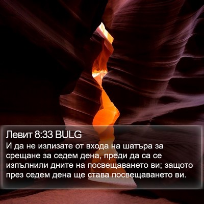 Левит 8:33 BULG Bible Verse Image