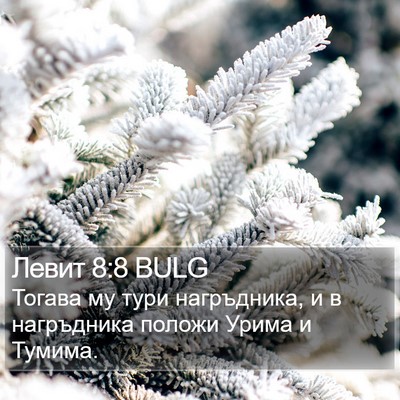 Левит 8:8 BULG Bible Verse Image