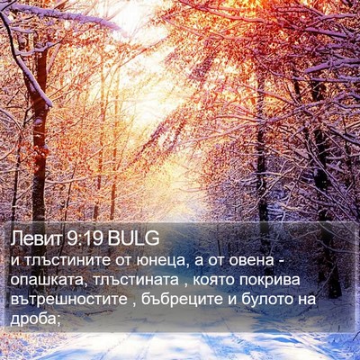 Левит 9:19 BULG Bible Verse Image