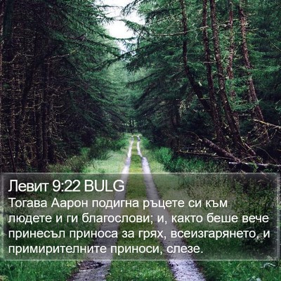 Левит 9:22 BULG Bible Verse Image