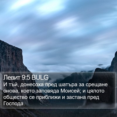 Левит 9:5 BULG Bible Verse Image