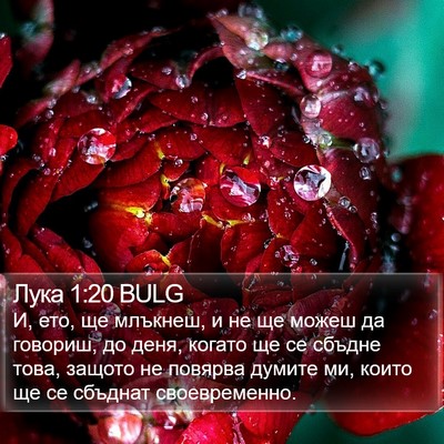 Лука 1:20 BULG Bible Verse Image