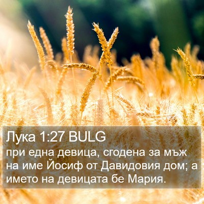 Лука 1:27 BULG Bible Verse Image